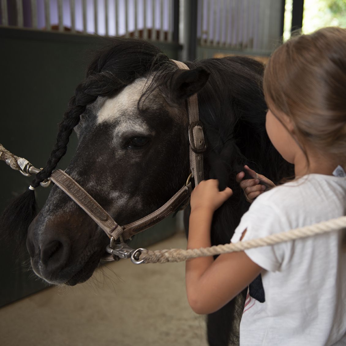 Feste di Compleanno Monsereno Horses Lecco
